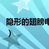隱形的翅膀電影簡介（隱形的翅膀獲得的榮譽）