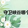 守衛峽谷哪個英雄好用（守衛峽谷用什么英雄）