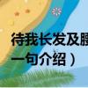 待我長發及腰下一句是什么（待我長發及腰下一句介紹）
