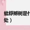 蚍蜉撼樹是什么意思（蚍蜉撼樹成語用法和出處）