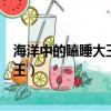 海洋中的瞌睡大王是什么動物（什么動物是海洋中的瞌睡大王）