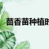 茴香苗種植時間和方法（如何種植茴香苗）