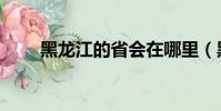 黑龍江的省會在哪里(黑龍江介紹)