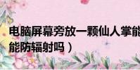 電腦屏幕旁放一顆仙人掌能防輻射嗎(仙人掌能防輻射嗎)