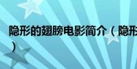 隱形的翅膀電影簡介(隱形的翅膀獲得的榮譽)