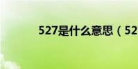 527是什么意思(527的意思)