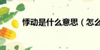 悸動是什么意思(怎么理解悸動)