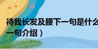 待我長發及腰下一句是什么(待我長發及腰下一句介紹)