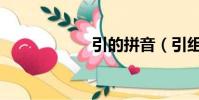 引的拼音(引組詞)