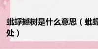 蚍蜉撼樹是什么意思(蚍蜉撼樹成語用法和出處)