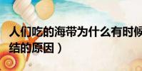 人們吃的海帶為什么有時候會打個結(海帶打結的原因)