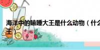 海洋中的瞌睡大王是什么動物(什么動物是海洋中的瞌睡大王)