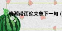 春潮帶雨晚來急下一句(原文及翻譯)