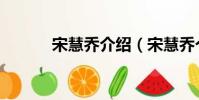 宋慧喬介紹(宋慧喬個人簡介)