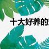 十大好養的寵物（十大好養的寵物介紹）