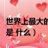 世界上最大的宮殿叫什么（世界上最大的宮殿是 什么）