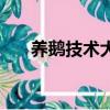 養鵝技術大全及方法（養鵝技術介紹）