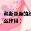 藕斷絲連的絲是干什么用的（藕里面的絲是什么作用）