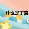什么是丁克家庭（丁克家庭是什么意思）