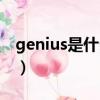 genius是什么意思（genius中文是什么意思）