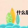 什么是羽絨棉（羽絨棉介紹）