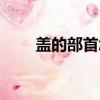 蓋的部首怎么讀（蓋的部首如何讀）