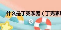 什么是丁克家庭(丁克家庭是什么意思)