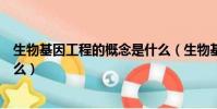 生物基因工程的概念是什么(生物基因工程的概念具體是什么)