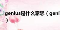 genius是什么意思(genius中文是什么意思)