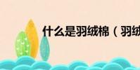 什么是羽絨棉(羽絨棉介紹)