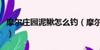 摩爾莊園泥鰍怎么釣(摩爾莊園釣泥鰍的做法)