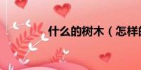 什么的樹木(怎樣的樹木)