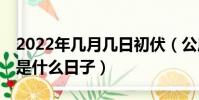 2022年幾月幾日初伏(公歷2022年7月16日是什么日子)
