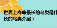 世界上壽命最長的鳥類是什么(世界上壽命最長的鳥類介紹)