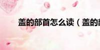 蓋的部首怎么讀(蓋的部首如何讀)