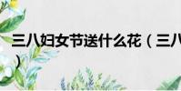 三八婦女節送什么花(三八婦女節送哪些花好)