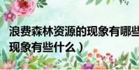 浪費森林資源的現象有哪些(浪費森林資源的現象有些什么)