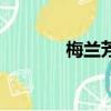 梅蘭芳代表作（代表作介紹）