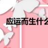 應運而生什么意思（應運而生意思是什么）