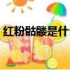 紅粉骷髏是什么意思（紅粉骷髏意思是什么）