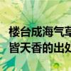 樓臺成海氣草木皆天香意思（樓臺成海氣草木皆天香的出處）