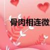 骨肉相連微波爐做法（具體步驟是什么）