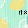 什么叫衛衣（衛衣的介紹）