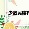 少數民族有多少個（少數民族的介紹）