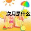 次月是什么意思（簡介次月是什么意思）