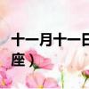 十一月十一日是什么星座（十一月十一日的星座）