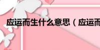 應運而生什么意思(應運而生意思是什么)