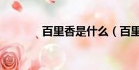 百里香是什么(百里香介紹)