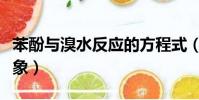 苯酚與溴水反應的方程式(苯酚與溴水反應現象)