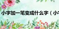 小字加一筆變成什么字(小字加一筆怎么讀)